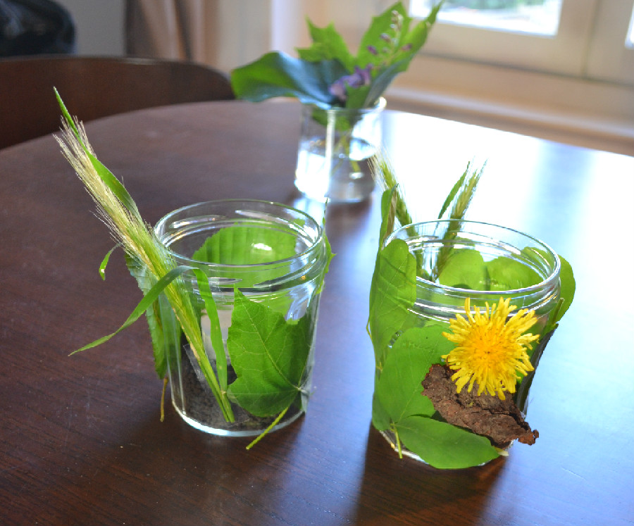DIY - Nature Tea Lights made with local leaves and flowers. #diy #craft #nature