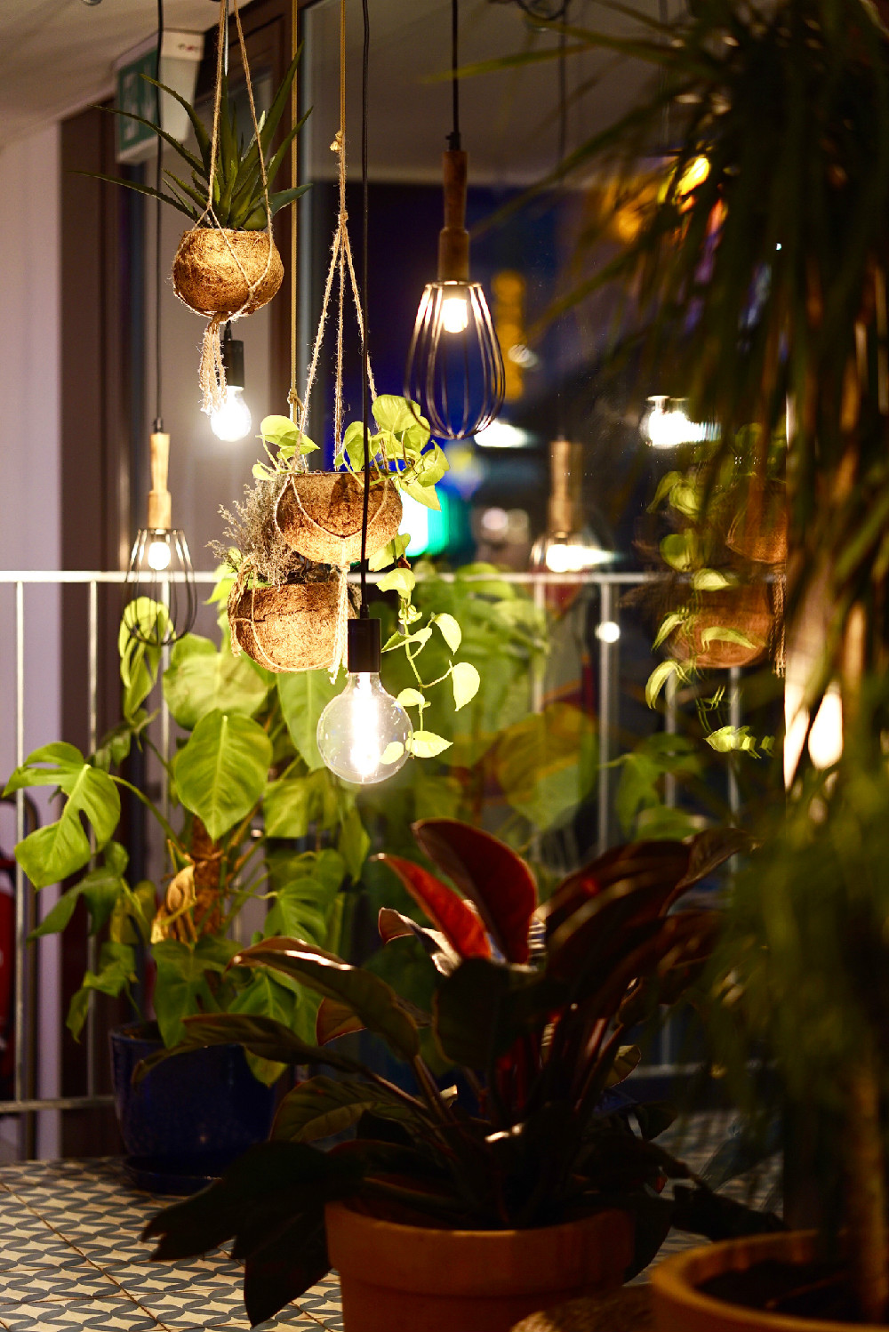 How to turn your flat into an urban jungle #urbanjungle #gardening #plants