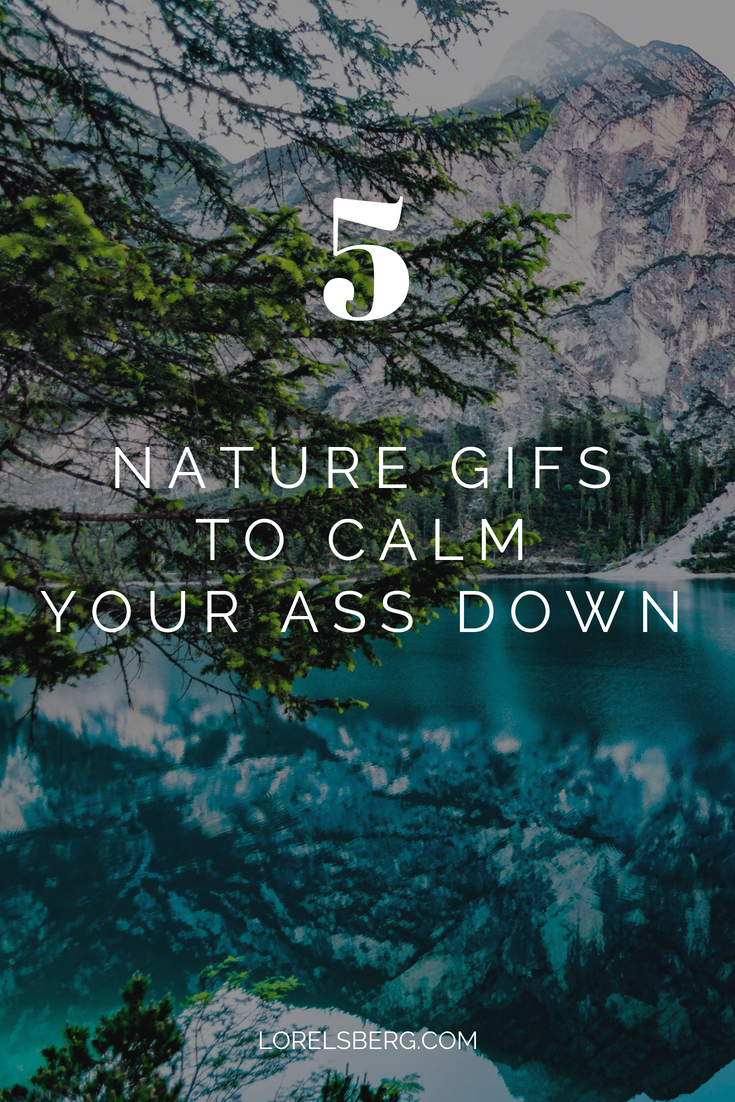 5 Nature GIFs to calm your ass down for a minute #antistress #nature #destress