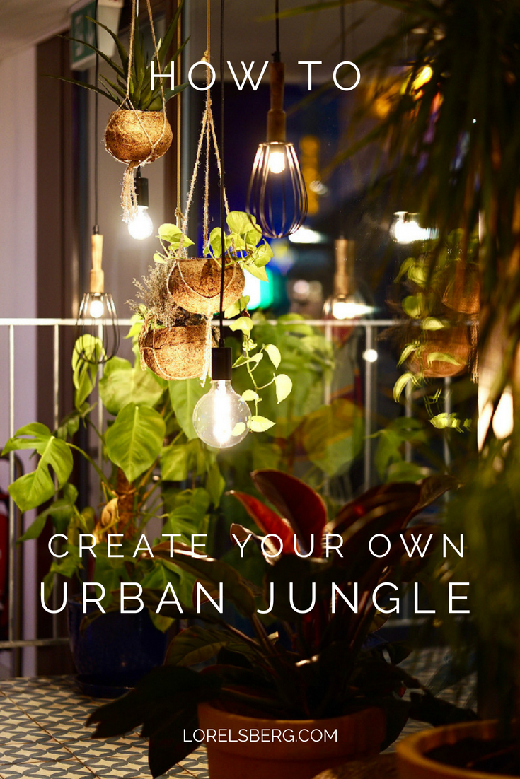 The Urban Jungle - If you're wanting to create this look all you