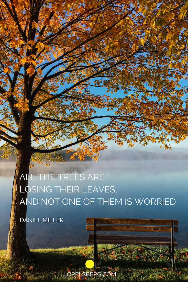 ALL THE TREES ARE LOSING THEIR LEAVES, AND NOT ONE OF THEM IS WORRIED