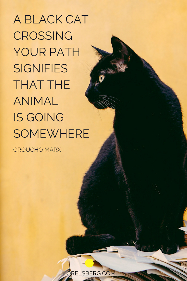 A BLACK CAT CROSSING YOUR PATH SIGNIFIES THAT THE ANIMAL IS GOING SOMEWHERE
