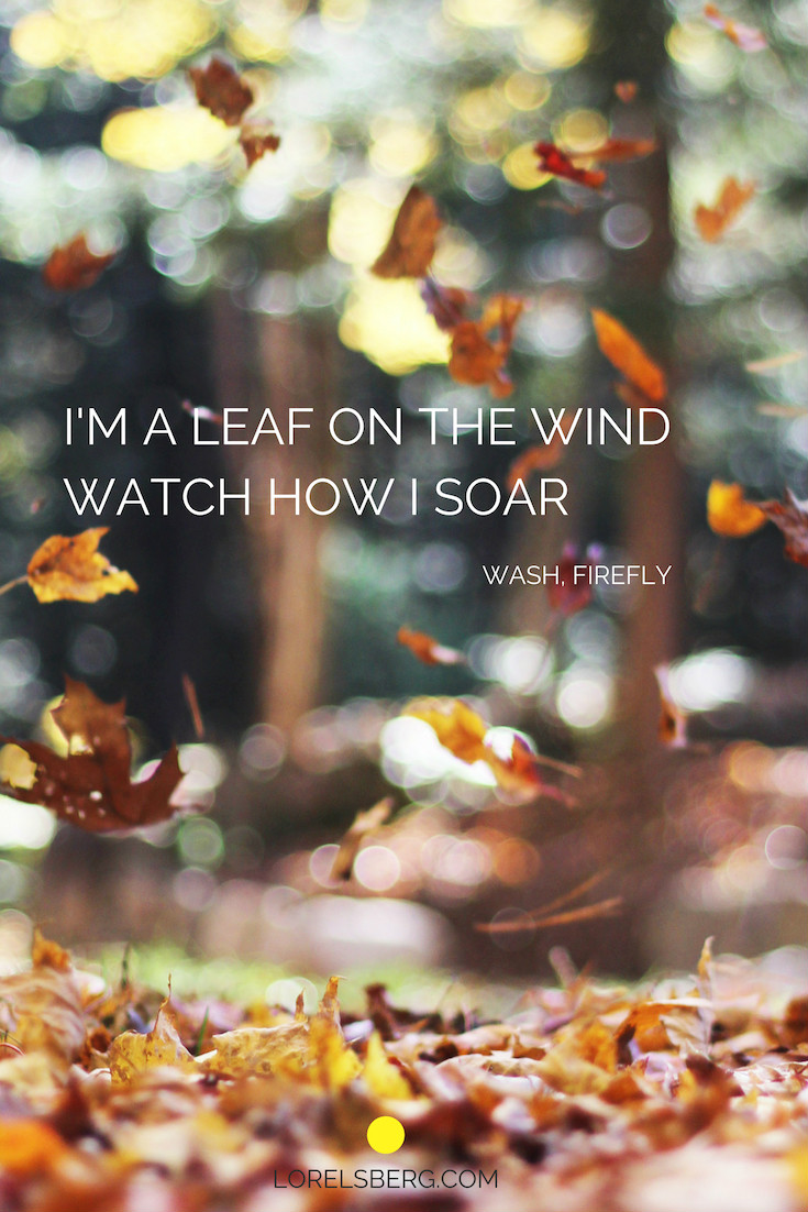 I'm a leaf on the wind, watch how i soar