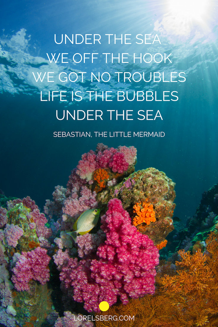 under the sea we off the hook we got no troubles life is the bubbles under the sea