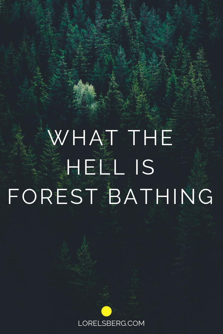 What the hell is forest bathing?