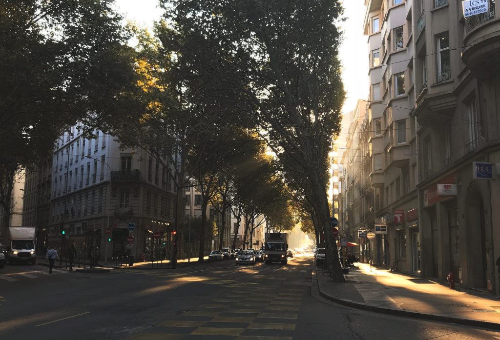 Sun shining through the tree tops on a tree lined street in a French city