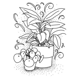 Baby Pilea and Leopard Lily Free Colouring Page