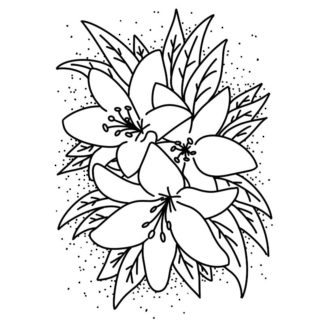 lilies free colouring page